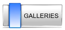  Galleries 